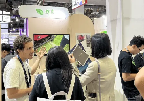 Exhibition space to showcase techniques and artwork at indoor events