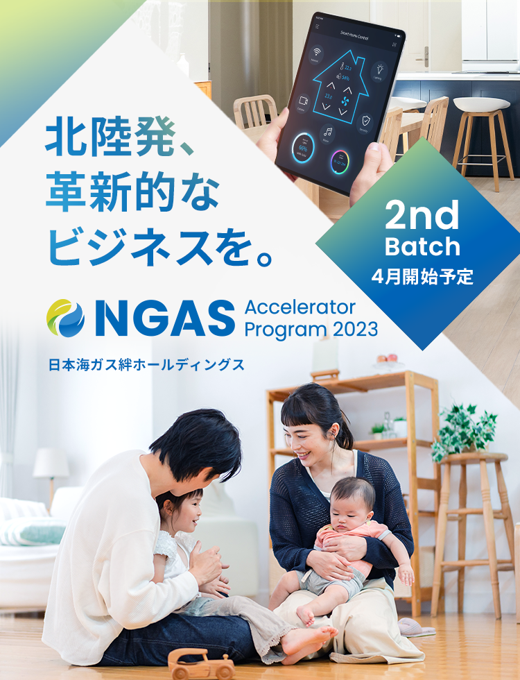 NGAS-Accelerator Program